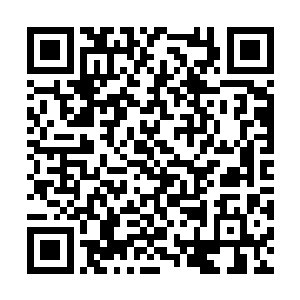 出拳的速度和出腿的速度都让李川有些应接不暇了二维码生成