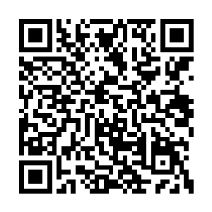出演楚青衣对于我来说最大的难度不是角色性格二维码生成