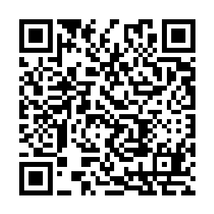 出现一个两个甚至三个将剑意淬炼到九转层次的人二维码生成