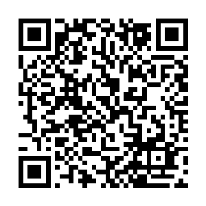 出现一个符魔神王和符魔神皇被人形骷髅虫吸食丧命二维码生成