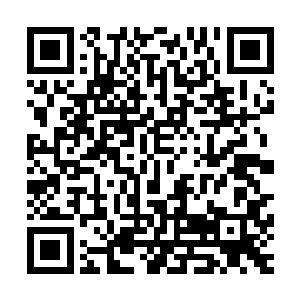 出现后不管是人还是尸阴宗还是魔教的弟子全部都啃噬了过去二维码生成