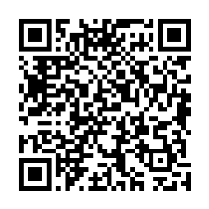 出现在了方才来时的那金色光罩法阵之外的积雪坚冰之上二维码生成