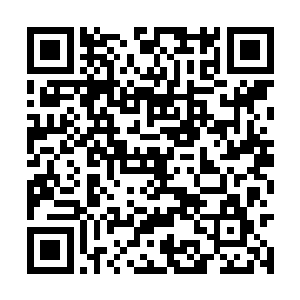 出现在几人面前的却是一个处于密林中的偌大湖泊二维码生成