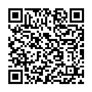 出现在数百根尖刺和地龙那巨大的手掌攻击范围之外二维码生成