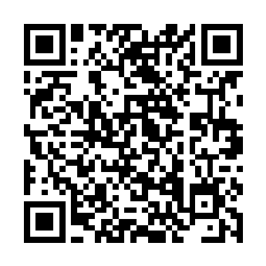 出现在灰色山丘的这些铁牙鬣狗的精神都非常的暴躁二维码生成