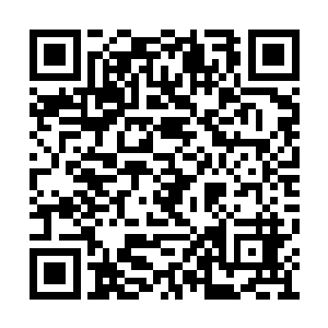 出现在白昊眼前的是一片看不到尽头的汪洋大海二维码生成