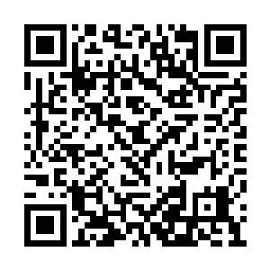 出现在秋虫面前的分明就是一条张牙舞爪的金龙二维码生成