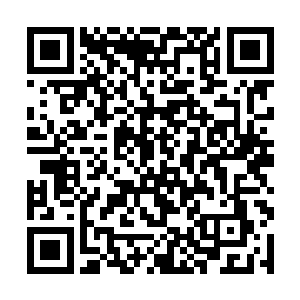 出现在龙傲天面前的乃是一具无比恐怖的巨大的骸骨二维码生成