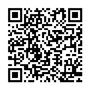 出现这样的虚影体内的红莲应该就是快要把宿主完全吞噬吸收了二维码生成