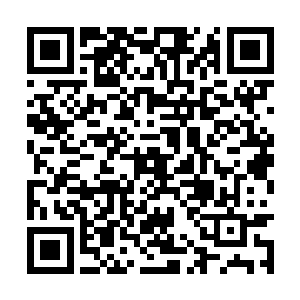 出租司机怨恨牧马人的主人竟然差点让他以身犯险二维码生成