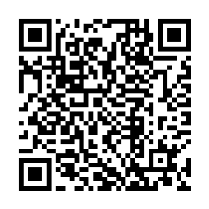 出租车司机将夏天送到了这条街口叹了口气之后离开了二维码生成