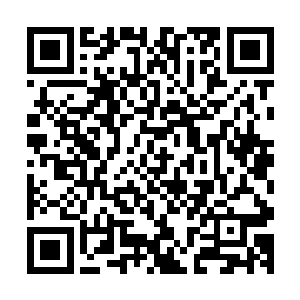 出租车按照吩咐到了一座看起来很普通的机关大院就放下他俩二维码生成