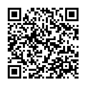 出租车里广播电台传来的主持人播报声音徐徐拉开了紧张刺二维码生成
