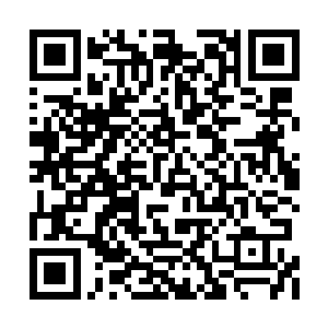 出行时也不会像电视小说中所说的那般铺张奢华二维码生成