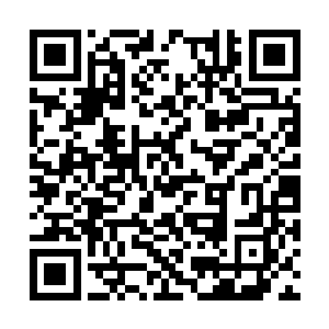 出身在虚空世界的武者能够修行的大道选择就多了二维码生成