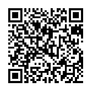 出门买了一颗假眼的卷毛正准备去小龙草丛里做视野时二维码生成