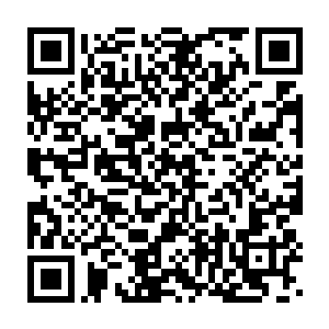 击杀一个仙班境的机关人偶相当于亚仙位的武者击杀四个机关人偶二维码生成