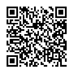 击破这一层两三寸厚度的腹甲还是没有什么问题的二维码生成