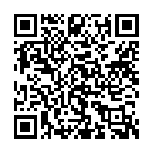 刀刃内的高温迅速劈开了狼兽蝠寒气幻化的身躯二维码生成