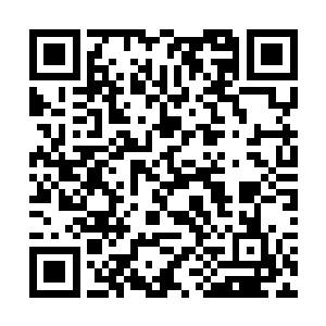 刀剑间因内力豁至极致而激起的破风声犹如风箱鼓荡二维码生成