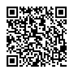 刀子一看四大金刚冲了上去赶紧忍着胸口的剧痛出声阻拦二维码生成