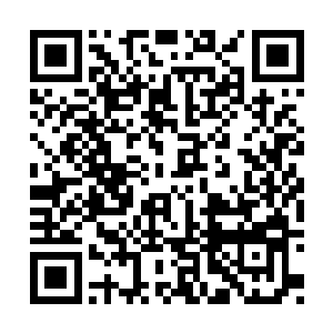 刀子自己也被凌云一脚踹的根本没有了还手之力二维码生成