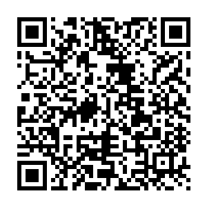 刀枪不入……眼前这个人……这个看起来像一个小白脸一般的人物二维码生成