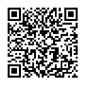 刀柄顶端的一枚不起眼的珠子涌现出一道淡淡的光芒二维码生成