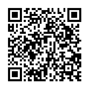 刀疤他们还要怀疑秦方是不是故意装傻扮猪吃老虎二维码生成