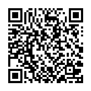 刀疤男子见莫凡在这种火烧眉毛的时候还能谈笑风生二维码生成