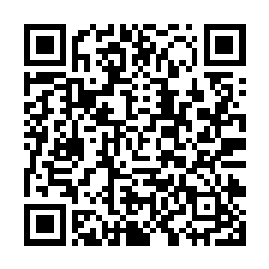 刀霸王和沙通天没想到道白骨悬顶对方却不急着攻击二维码生成