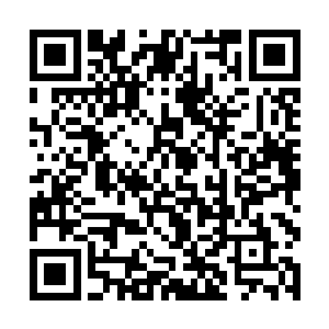 刁修士和司马明光在内城被张潇晗当众收为灵魂奴仆二维码生成