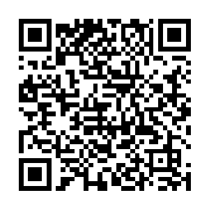 分上下往来的公文和根据提供案例来撰写司法判文两种二维码生成