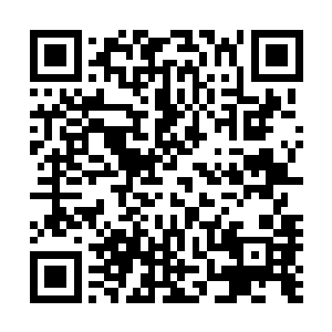 分不出究竟是男声还是女声的声音在孙子轩的脑海当中响起二维码生成