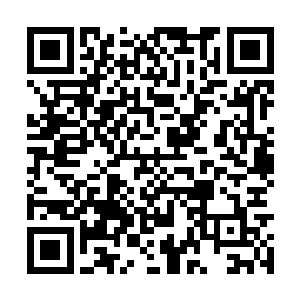 分别对应着金木水火土冰风雷和阴阳九种属性力量二维码生成