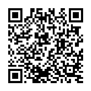 分别是在1984年新加坡亚洲杯上输给了沙特阿拉伯二维码生成