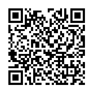 分别测试了一下乐萍儿和乐萍儿肚子中的那个孩子二维码生成