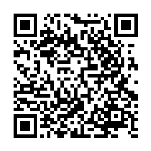 分别躺了一个胡子拉茬的中年人和一个满头白发的老太太二维码生成