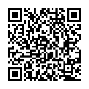 分明正是自己之前见过的那人……他是追着唐劫去的二维码生成