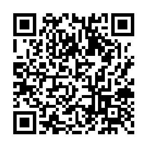 分明看到二小姐来回事处拿了纪家送的药材走了二维码生成