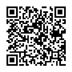 分水城的城主和这里的佣兵分会所有高层全部前去迎接二维码生成