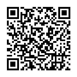 分立三角的分魂魂魄被紫红的丝线状魂血连接在一起二维码生成