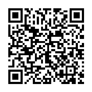 分解大恶魔的尸身对于李锐来说也没有任何的心里负担和压力二维码生成