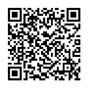 分身已经将整个玲珑仙塔的地形全都研究明白了二维码生成