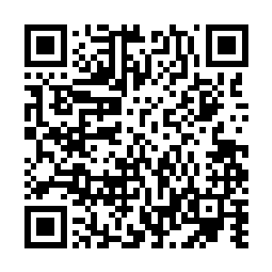 分辨出黑石坑处到处都是丁壮他们曾经拿出来燃烧的黑石二维码生成