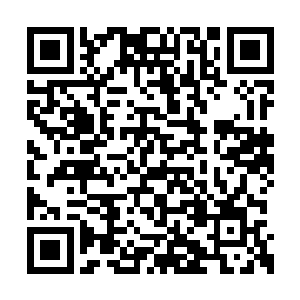 切尔西全队对于上一次输给你们都感到很不甘心二维码生成