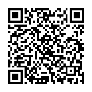 切尔西球员一直都认为他们不应该在自己的主场放弃进攻二维码生成