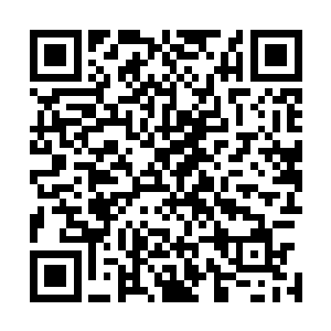 切萨雷是最接近她秘密的那个人――他绝对已经发现了不对二维码生成