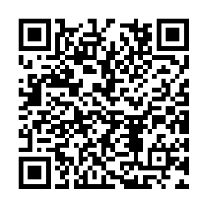 切萨雷最忠实的小弟吉姆发出了意味不明的哼哼声二维码生成