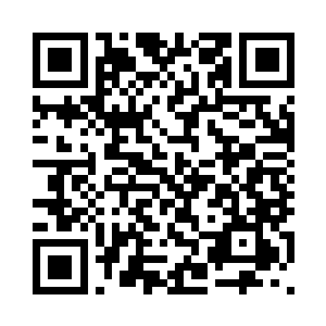 切萨雷看起来已经完全恢复了正常二维码生成